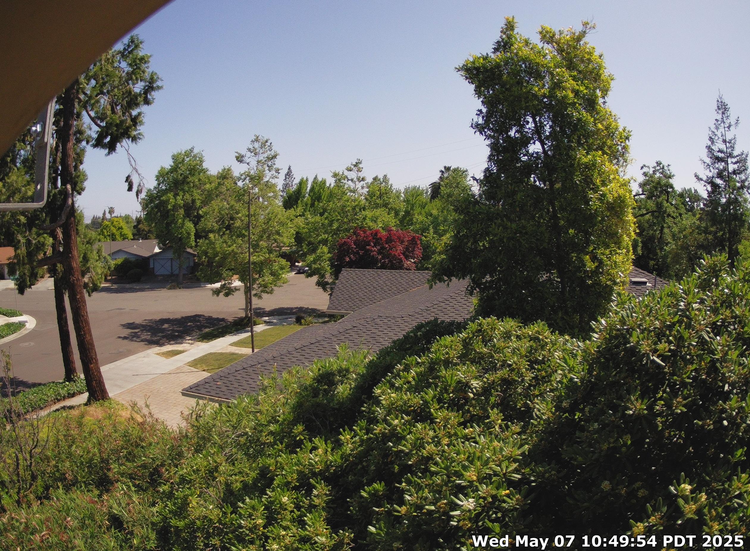 Primary IP Camera